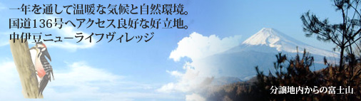 中伊豆ニューライフヴィレッジ