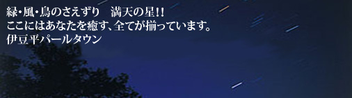 伊豆平パールタウン