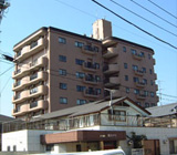 センシブル大仁