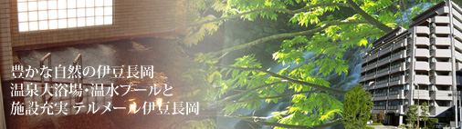 テルメール伊豆長岡